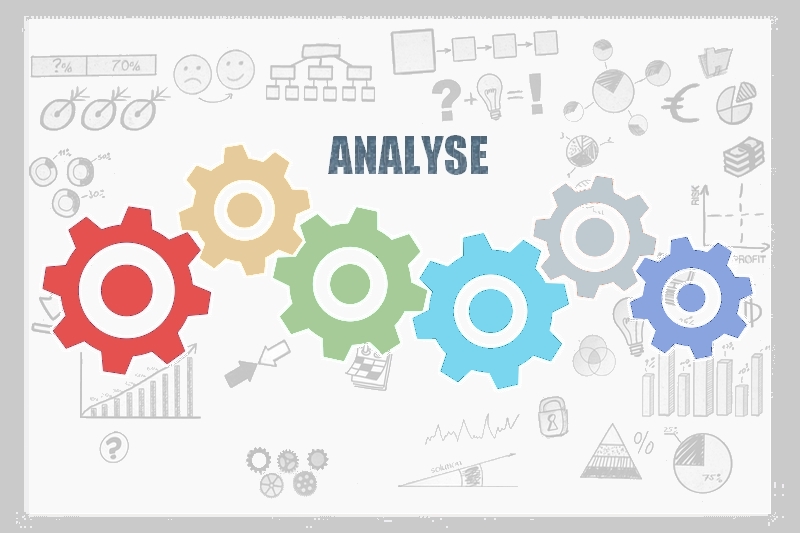 analyse-vetrieb